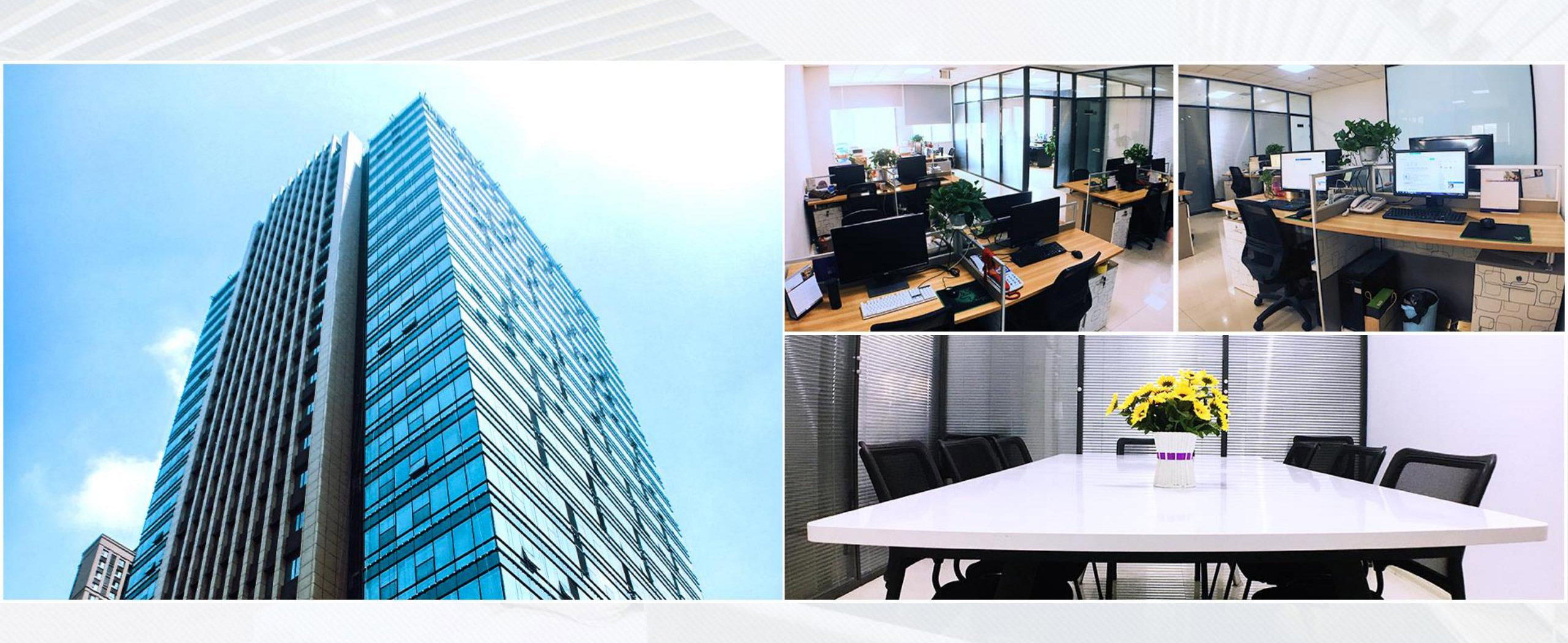 COMPANY ENVIRONMENT.jpg